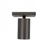 Lynn 1 Opbouwspot – Gun Metal Plafond- en Wandspot, Verstelbaar & Modern Design