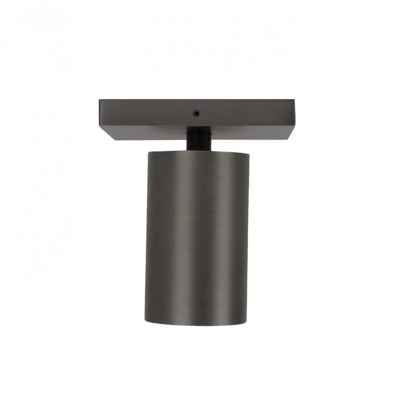 Lynn 1 Opbouwspot – Gun Metal Plafond- en Wandspot, Verstelbaar & Modern Design