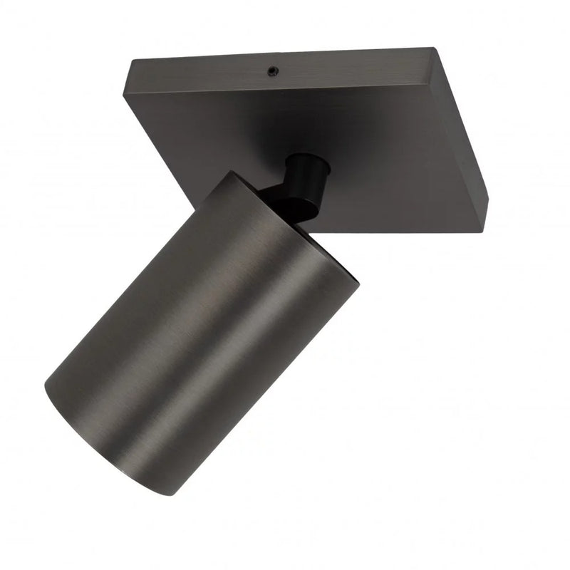Lynn 1 Opbouwspot – Gun Metal Plafond- en Wandspot, Verstelbaar & Modern Design