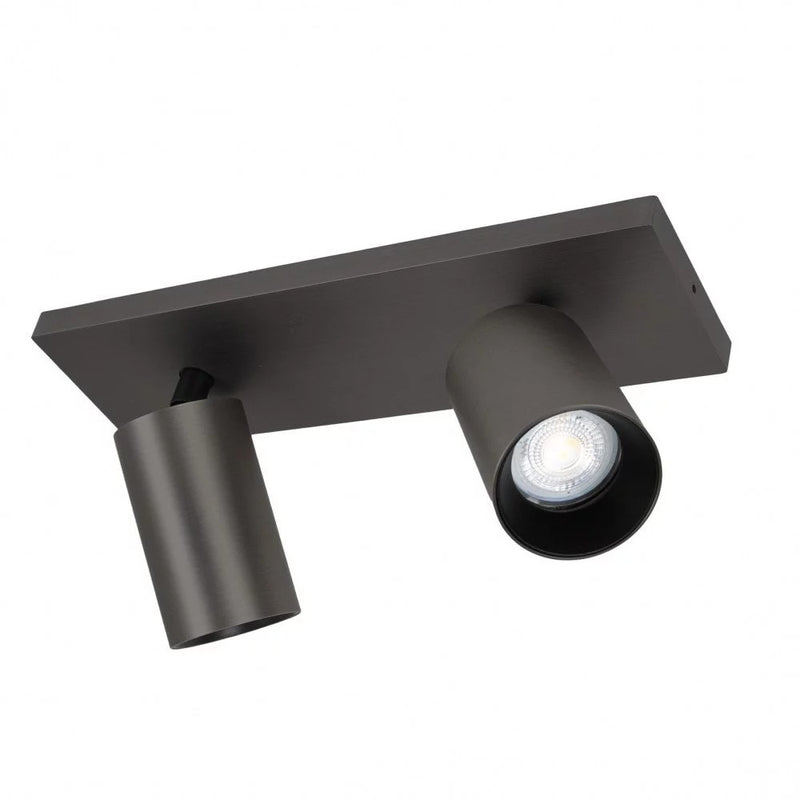 Lynn 2 Opbouwspot – Gun Metal Plafond- en Wandspot met Twee Lichtpunten, Verstelbaar
