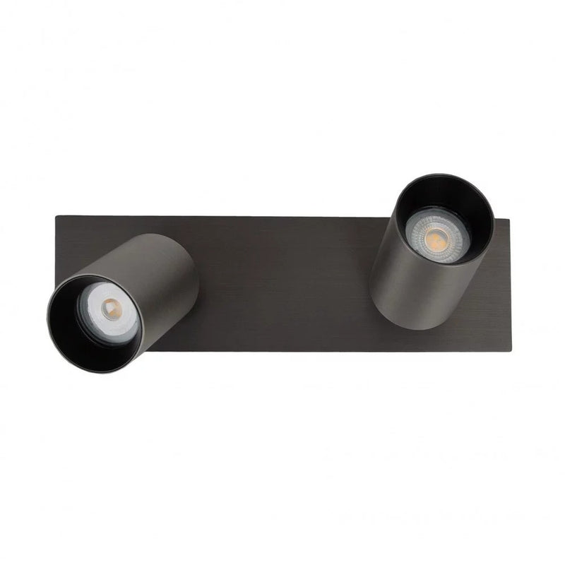 Lynn 2 Opbouwspot – Gun Metal Plafond- en Wandspot met Twee Lichtpunten, Verstelbaar
