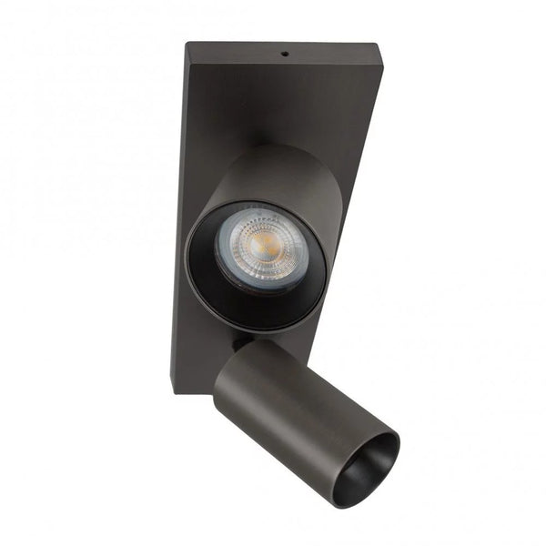 Lynn 2 Opbouwspot – Gun Metal Plafond- en Wandspot met Twee Lichtpunten, Verstelbaar