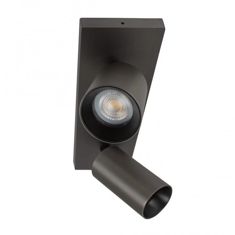 Lynn 2 Opbouwspot – Gun Metal Plafond- en Wandspot met Twee Lichtpunten, Verstelbaar
