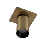 Lynn 1 Opbouwspot – Oud Brons Plafond- en Wandspot, Verstelbaar